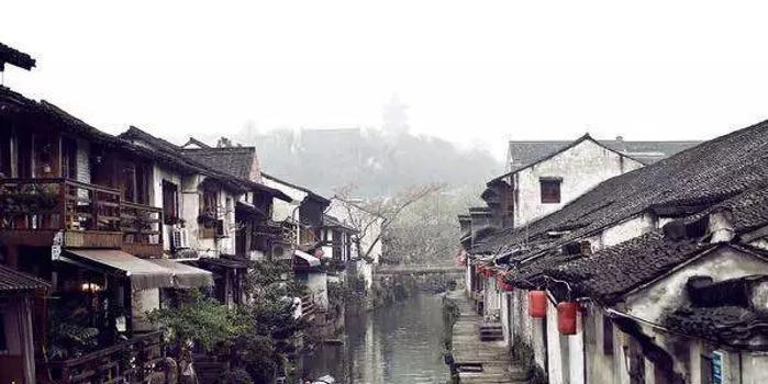 小艾比当营养师